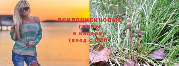 марки lsd Белокуриха