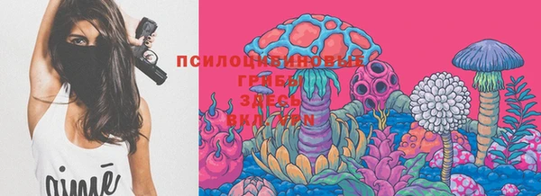 спайс Беломорск