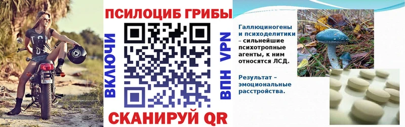 Галлюциногенные грибы прущие грибы  Купить где  Вичуга 